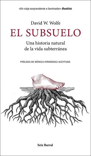 SUBSUELO, EL  | 9788432235603 | WOLFE, DAVID W. | Llibreria La Gralla | Librería online de Granollers