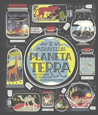 MERAVELLÓS PLANETA TERRA, EL | 9788491378778 | IGNOTOFSKY, RACHEL | Llibreria La Gralla | Llibreria online de Granollers