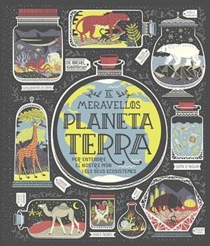 MERAVELLÓS PLANETA TERRA, EL | 9788491378778 | IGNOTOFSKY, RACHEL | Llibreria La Gralla | Librería online de Granollers
