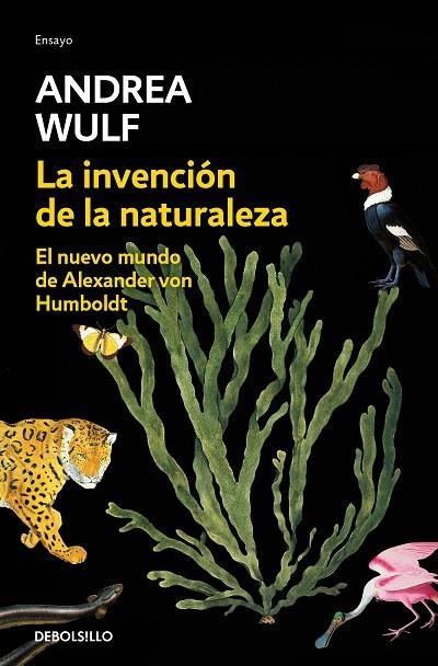 INVENCIÓN DE LA NATURALEZA, LA  | 9788466346108 | WULF, ANDREA | Llibreria La Gralla | Llibreria online de Granollers