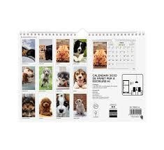 CALENDARI 2020 FINOCAM PARET 30X21 FOTOS | 8422952191292 | 78066 | Llibreria La Gralla | Llibreria online de Granollers
