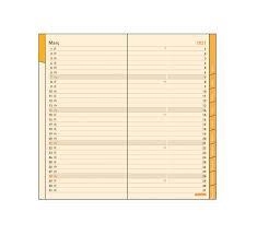 RECANVI FINOCAM P497C MES VISTA | 8422952192121 | 34154 | Llibreria La Gralla | Librería online de Granollers