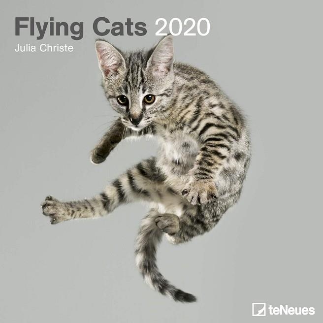 CALENDARIO 2020 FLYING CATS | 4002725968364 | CHRISTE, JULIA | Llibreria La Gralla | Llibreria online de Granollers