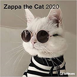 CALENDARIO 2020 ZAPPA THE CAT | 4002725969187 | VV.AA | Llibreria La Gralla | Librería online de Granollers