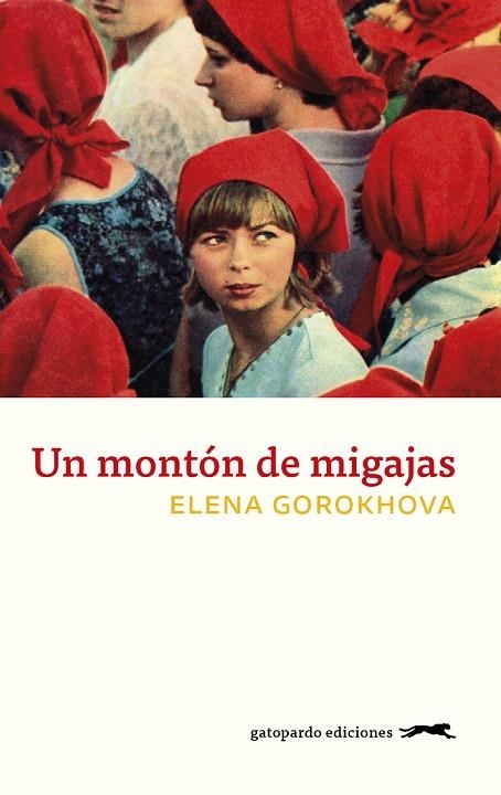 UN MONTÓN DE MIGAJAS | 9788417109738 | GOROKHOVA, ELENA | Llibreria La Gralla | Llibreria online de Granollers