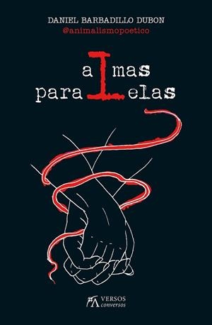 ALMAS PARALELAS | 9788417828103 | BARBADILLO DUBÓN, DANIEL | Llibreria La Gralla | Librería online de Granollers