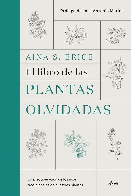 LIBRO DE LAS PLANTAS OLVIDADAS, EL | 9788434431461 | ERICE, AINA S. | Llibreria La Gralla | Llibreria online de Granollers