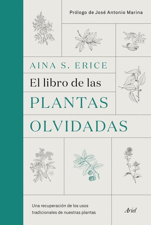 LIBRO DE LAS PLANTAS OLVIDADAS, EL | 9788434431461 | ERICE, AINA S. | Llibreria La Gralla | Librería online de Granollers