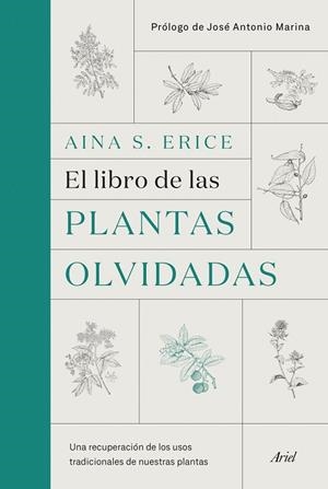 LIBRO DE LAS PLANTAS OLVIDADAS, EL | 9788434431461 | ERICE, AINA S. | Llibreria La Gralla | Llibreria online de Granollers