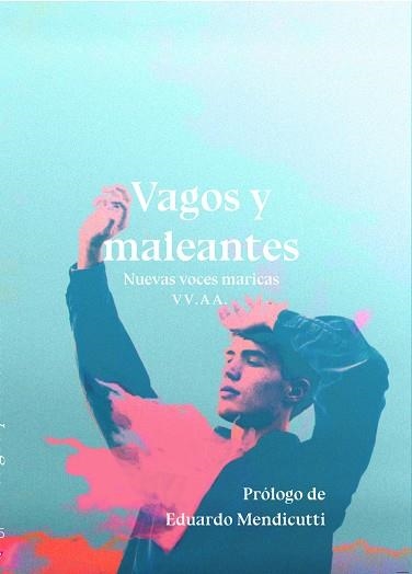 VAGOS Y MALEANTES | 9788417319731 | VV.AA. | Llibreria La Gralla | Librería online de Granollers