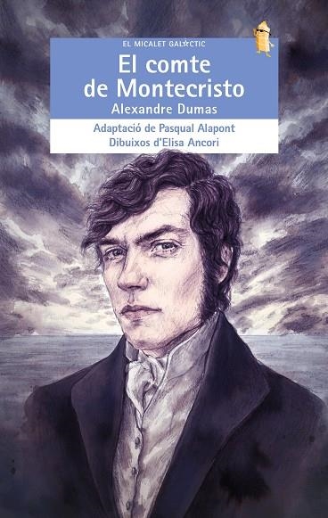 COMTE DE MONTECRISTO, EL  | 9788490263365 | DUMAS, ALEXANDRE | Llibreria La Gralla | Librería online de Granollers