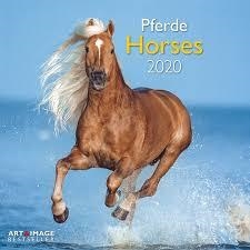 CALENDARIO 2020 HORSES | 4002725966469 | PFERDE | Llibreria La Gralla | Librería online de Granollers