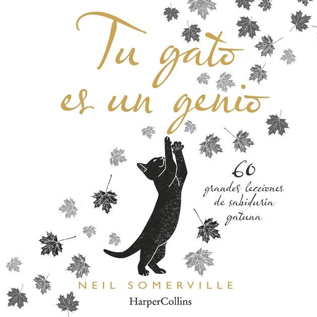 TU GATO ES UN GENIO. 60 GRANDES LECCIONES DE SABIDURÍA GATUNA | 9788491394211 | SOMERVILLE, NEIL | Llibreria La Gralla | Llibreria online de Granollers