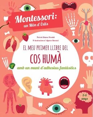 MEU PRIMER LLIBRE DEL COS HUMA, EL | 9788468250052 | PIRODDI, CHIARA | Llibreria La Gralla | Librería online de Granollers