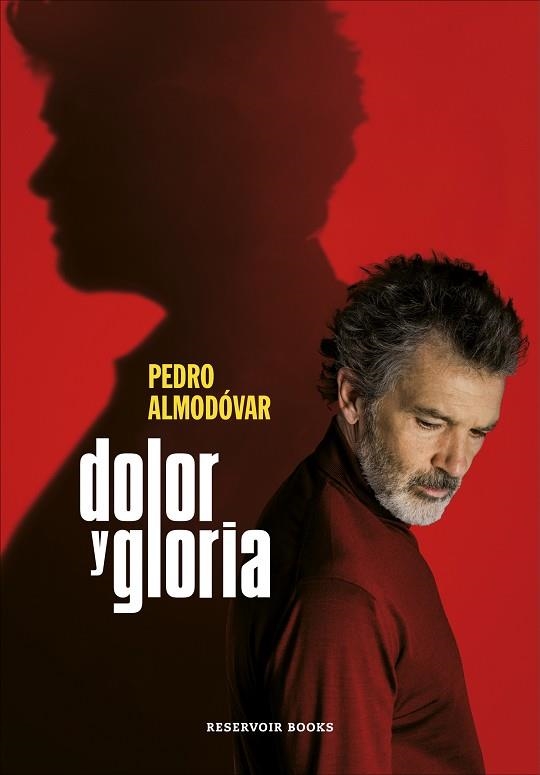 DOLOR Y GLORIA | 9788417910303 | ALMODÓVAR, PEDRO | Llibreria La Gralla | Librería online de Granollers