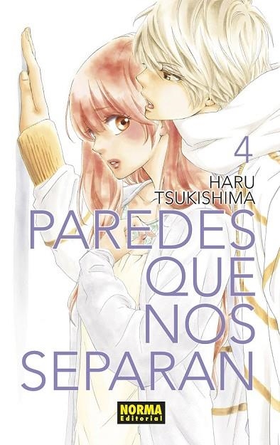 PAREDES QUE NOS SEPARAN 04 | 9788467939026 | TSUKISHIMA, HARU | Llibreria La Gralla | Librería online de Granollers