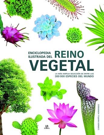 ENCICLOPEDIA ILUSTRADA DEL REINO VEGETAL | 9788466232722 | MARTUL HERNÁNDEZ, CARMEN | Llibreria La Gralla | Librería online de Granollers