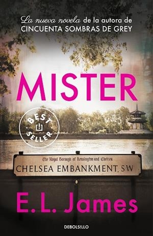 MISTER (BOLSILLO) | 9788466350242 | JAMES, E.L. | Llibreria La Gralla | Librería online de Granollers
