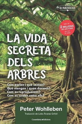 VIDA SECRETA DELS ARBRES, LA  | 9788490348901 | WOHLLEBEN, PETER | Llibreria La Gralla | Llibreria online de Granollers