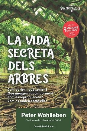 VIDA SECRETA DELS ARBRES, LA | 9788490348901 | WOHLLEBEN, PETER | Llibreria La Gralla | Llibreria online de Granollers