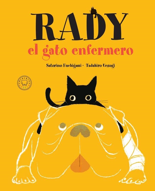 RADY, EL GATO ENFERMERO | 9788417552718 | SATORINO, FUCHIGAMI | Llibreria La Gralla | Llibreria online de Granollers