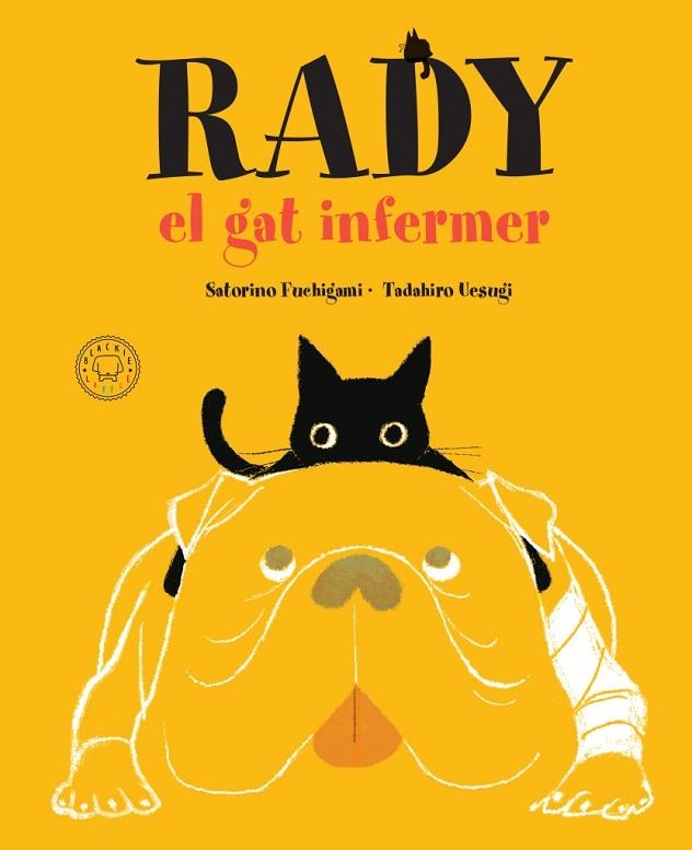 RADY, EL GAT INFERMER | 9788417552725 | SATORINO, FUCHIGAMI | Llibreria La Gralla | Llibreria online de Granollers