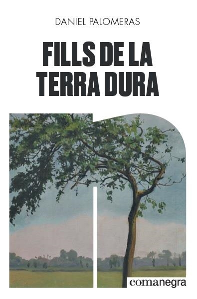FILLS DE LA TERRA DURA | 9788418022296 | PALOMERAS CASADEJÚS, DANIEL | Llibreria La Gralla | Librería online de Granollers