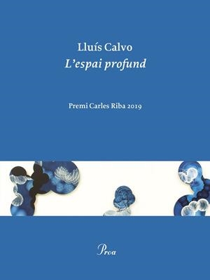 ESPAI PROFUND, L' | 9788475888248 | CALVO, LLUÍS | Llibreria La Gralla | Llibreria online de Granollers