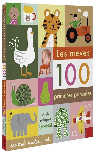 MEVES 100 PRIMERES PARAULES, LES | 9788491015932 | VVAA | Llibreria La Gralla | Llibreria online de Granollers