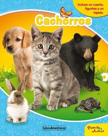 CACHORROS  LIBROAVENTURAS | 9788408218135 | AA. VV. | Llibreria La Gralla | Llibreria online de Granollers