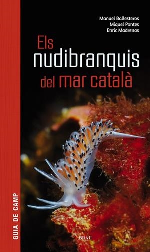 ELS NUDIBRANQUIS DEL MAR CATALÀ | 9788415885924 | BALLESTEROS VÁZQUEZ, MANUEL/PONTES GARCIA, MIQUEL/MADRENAS TOMÀS, ENRIC | Llibreria La Gralla | Llibreria online de Granollers