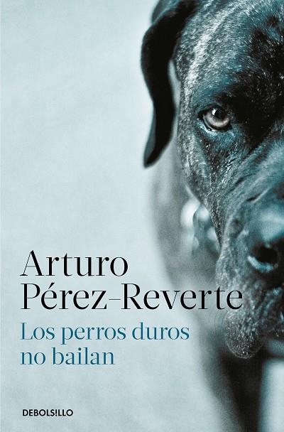PERROS DUROS NO BAILAN, LOS  | 9788466350594 | PÉREZ-REVERTE, ARTURO | Llibreria La Gralla | Librería online de Granollers