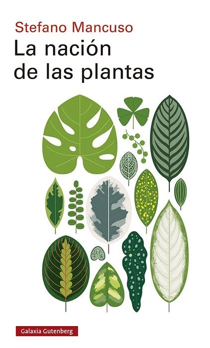 NACIÓN DE LAS PLANTAS, LA | 9788417971557 | MANCUSO, STEFANO | Llibreria La Gralla | Llibreria online de Granollers