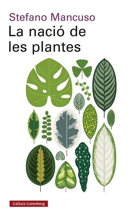 NACIÓ DE LES PLANTES, LA | 9788417971564 | MANCUSO, STEFANO | Llibreria La Gralla | Llibreria online de Granollers