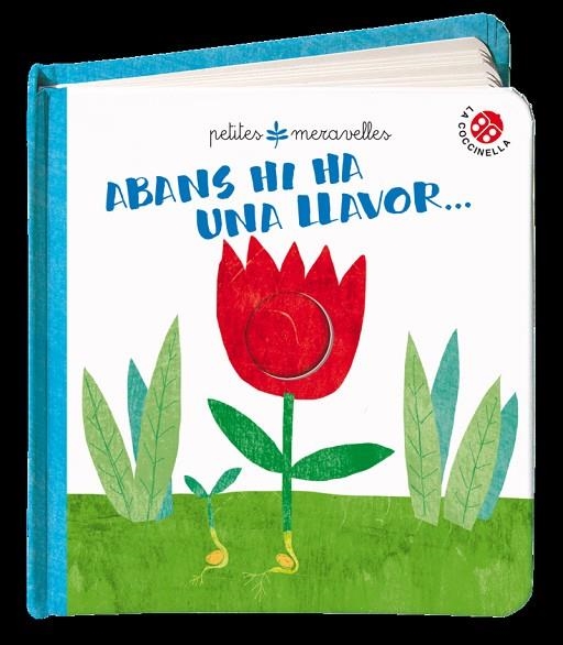 ABANS HI HA UNA LLAVOR - CAT | 9788855060325 | CLIMA GABRIELE (CAT) | Llibreria La Gralla | Librería online de Granollers