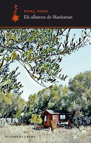 ULLASTRES DE MANHATTAN, ELS | 9788477276210 | PONÇ, PONS | Llibreria La Gralla | Librería online de Granollers