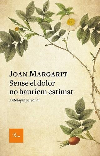 SENSE EL DOLOR NO HAURÍEM ESTIMAT | 9788475888293 | MARGARIT, JOAN | Llibreria La Gralla | Llibreria online de Granollers