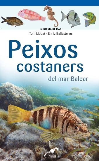 PEIXOS COSTANERS DEL MAR BALEAR | 9788490349403 | LLOBET FRANÇOIS , TONI/BALLESTEROS SAGARRA , ENRIC | Llibreria La Gralla | Llibreria online de Granollers