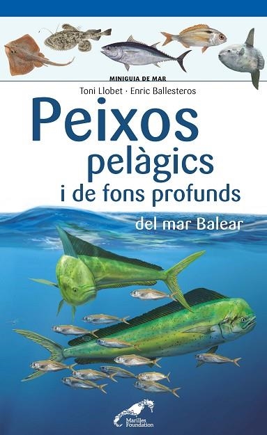 PEIXOS PELÀGICS I DE FONS PROFUNDS DEL MAR BALEAR | 9788490349397 | LLOBET FRANÇOIS, TONI/BALLESTEROS SAGARRA, ENRIC | Llibreria La Gralla | Llibreria online de Granollers