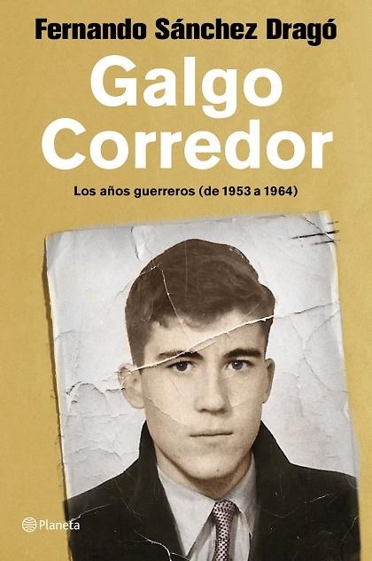 GALGO CORREDOR | 9788408223337 | SÁNCHEZ DRAGÓ, FERNANDO | Llibreria La Gralla | Librería online de Granollers