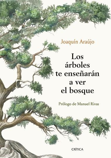 ÁRBOLES TE ENSEÑARÁN A VER EL BOSQUE, LOS | 9788491992080 | ARAÚJO, JOAQUÍN | Llibreria La Gralla | Llibreria online de Granollers