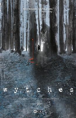 WYTCHES VOL. 01 | 9788418180705 | SNYDER, SCOTT | Llibreria La Gralla | Llibreria online de Granollers