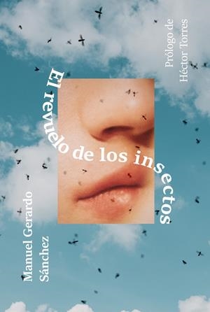 REVUELO DE LOS INSECTOS,EL | 9788417319946 | SÁNCHEZ MANUEL, GERARDO | Llibreria La Gralla | Librería online de Granollers