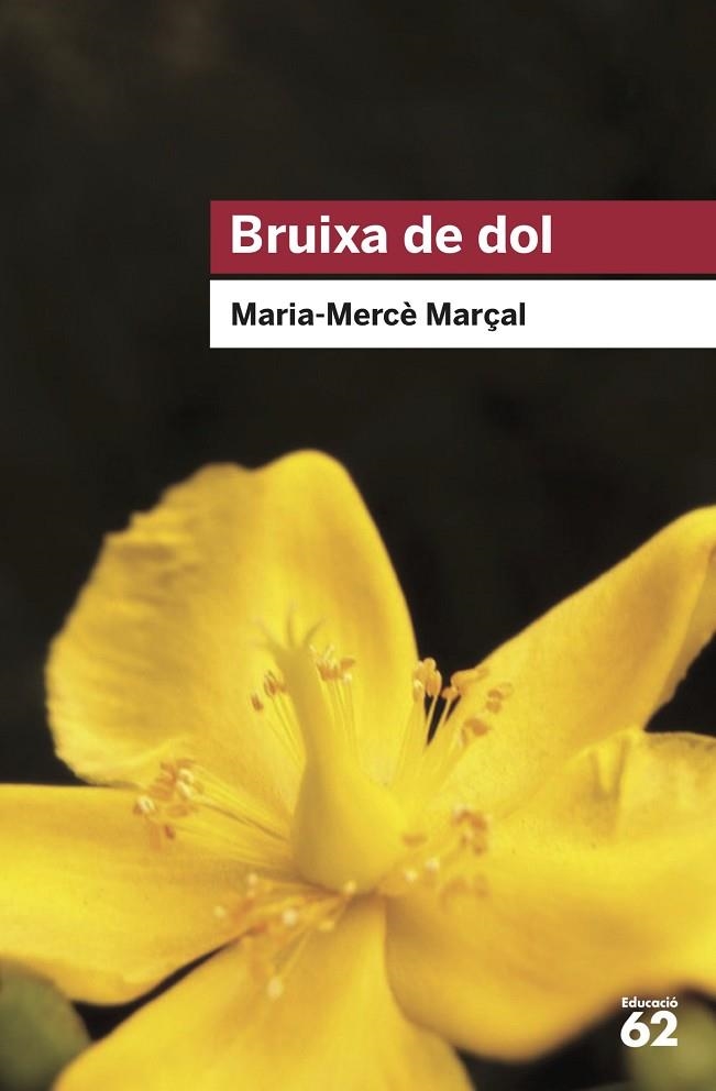 BRUIXA DE DOL (BUTXACA) | 9788415954736 | MARÇAL SERRA, M. MERCÈ | Llibreria La Gralla | Librería online de Granollers