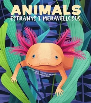 ANIMALS EXTRANYS I MERAVELLOSOS  | 9788468270685 | BANFI, CRISTINA | Llibreria La Gralla | Librería online de Granollers