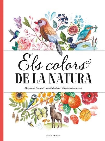 COLORS DE LA NATURA, ELS | 9788490349243 | SEDLÁKOVÁ , JANA/SEKANINOVÁ, ?T?PÁNKA | Llibreria La Gralla | Librería online de Granollers