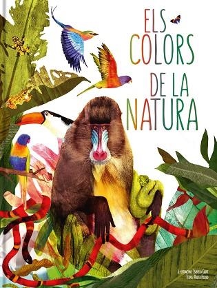 COLORS DE LA NATURA, ELS | 9788413342320 | VV.AA | Llibreria La Gralla | Llibreria online de Granollers