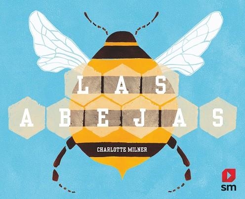 ABEJAS, LAS | 9788413181936 | MILNER, CHARLOTTE | Llibreria La Gralla | Llibreria online de Granollers