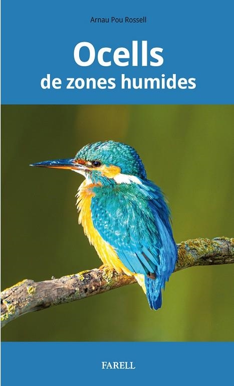 OCELLS DE ZONES HUMIDES | 9788417116255 | POU ROSSELL, ARNAU | Llibreria La Gralla | Llibreria online de Granollers