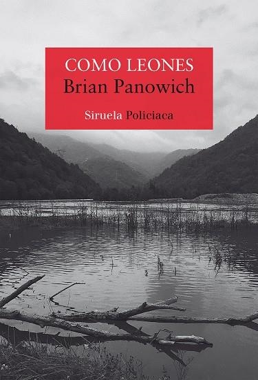 COMO LEONES | 9788418245572 | PANOWICH, BRIAN | Llibreria La Gralla | Librería online de Granollers